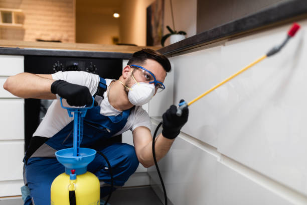 Professional Pest Control in Erwinville, LA
