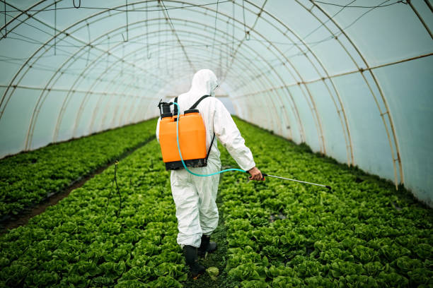 Best Pest Control Cost  in Erwinville, LA