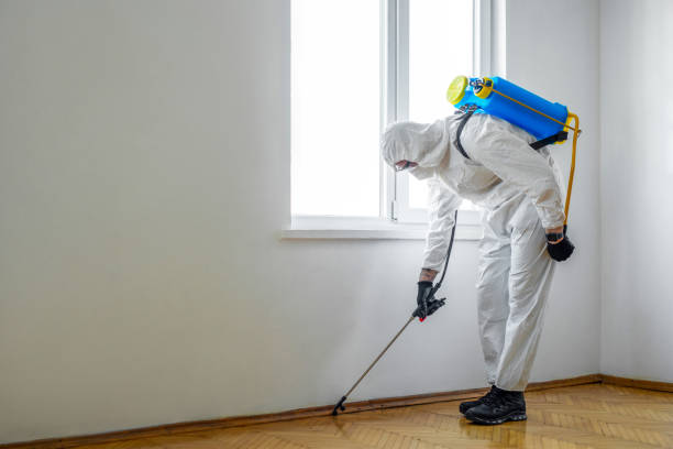 Flea Control Services in Erwinville, LA