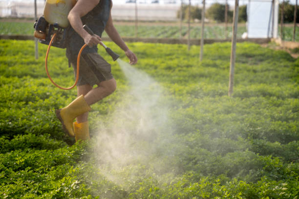 Best Best Pest Control Companies  in Erwinville, LA