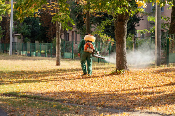 Best Wasp Removal Services  in Erwinville, LA