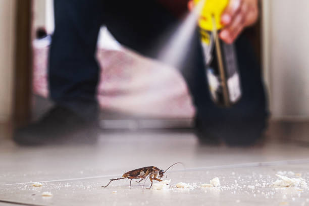 Best Cockroach Control Services  in Erwinville, LA
