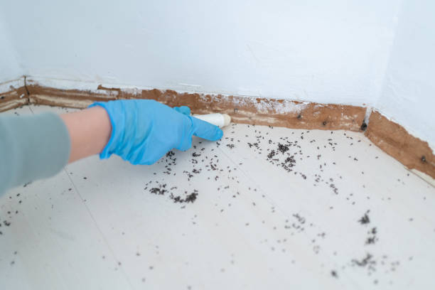 Best Affordable Pest Control Services  in Erwinville, LA