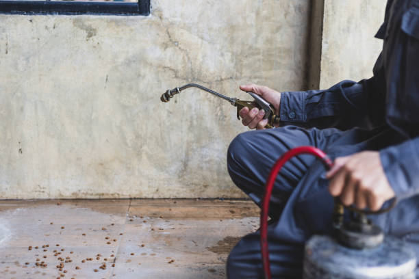 Best Rat Extermination Near Me  in Erwinville, LA