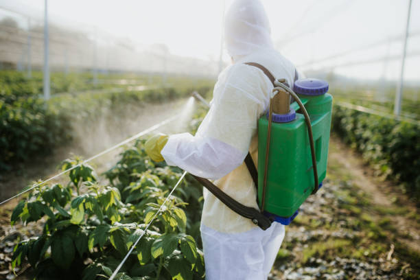 Best Affordable Pest Control Services  in Erwinville, LA